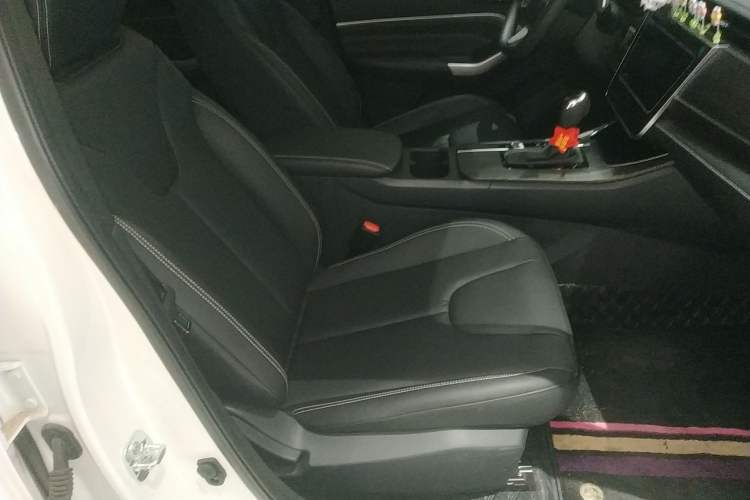 Used Venucia D60 2023 PLUS 1.6L XL CVT Yue Ling Edition Right Front Seat