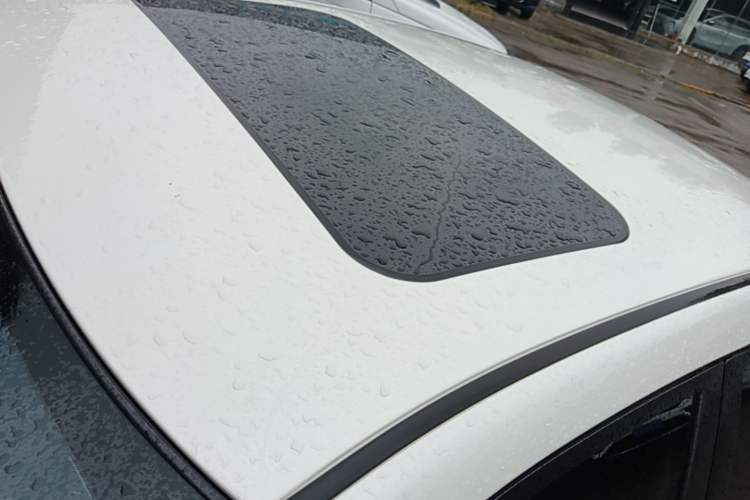 Used Venucia D60 2023 PLUS 1.6L XL CVT Yue Ling Edition Roof