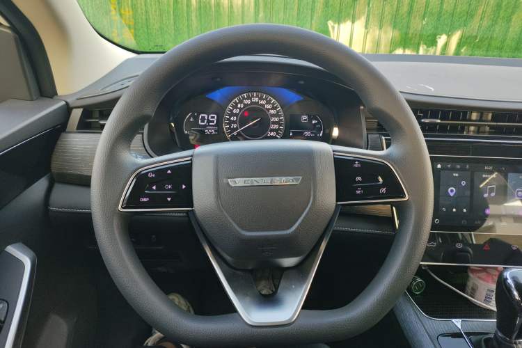 Used Venucia D60 2023 PLUS 1.6L XL CVT Yue Ling Edition Steering Wheel