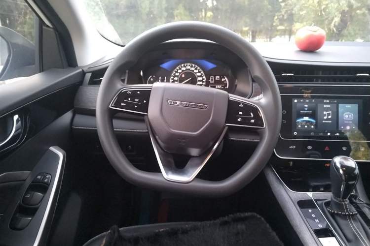 Used Venucia D60 2023 PLUS 1.6L XL CVT Yue Ling Edition Steering Wheel
