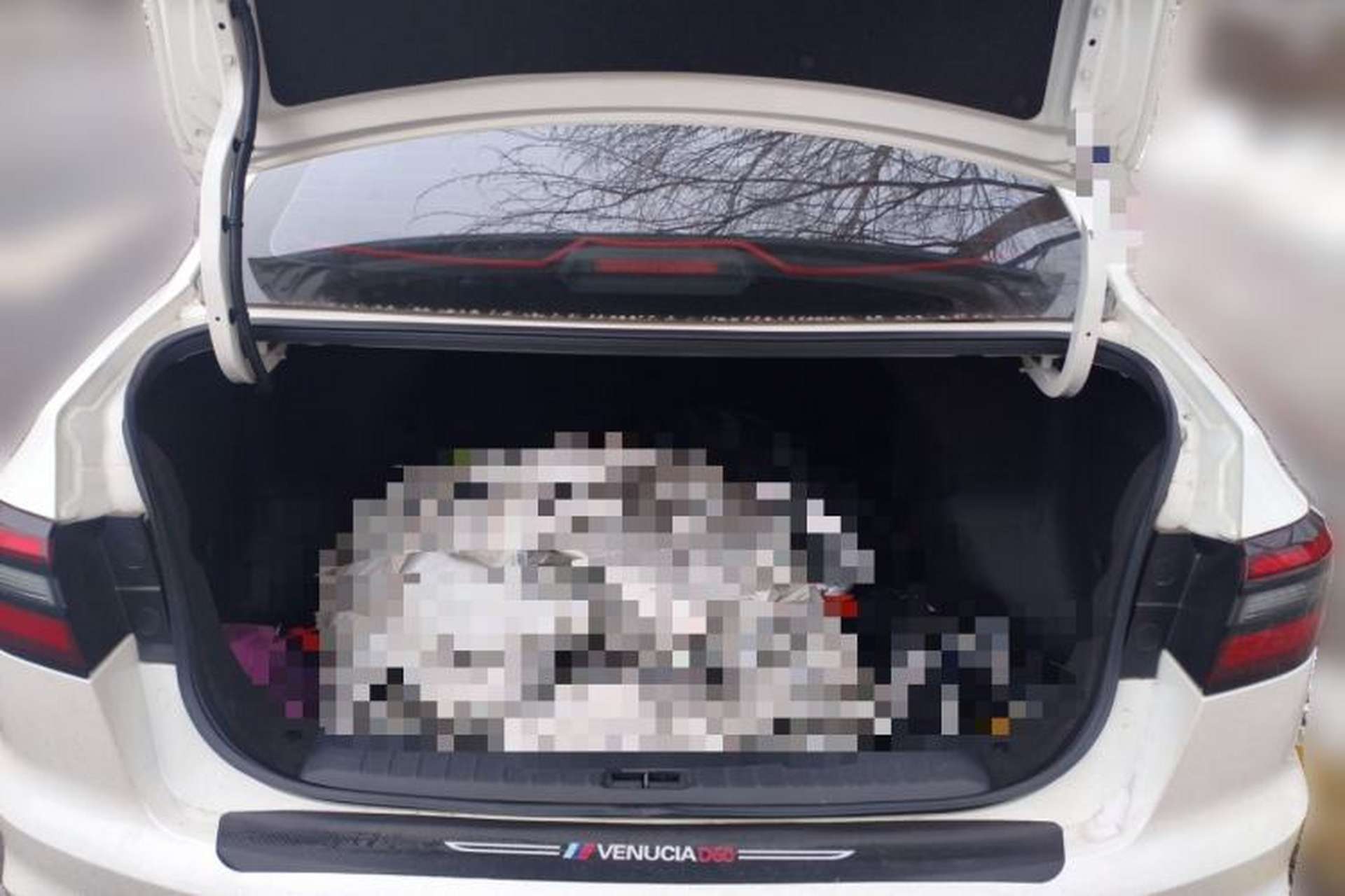 Used Venucia D60 2023 PLUS 1.6L XL CVT Yue Ling Edition Trunk