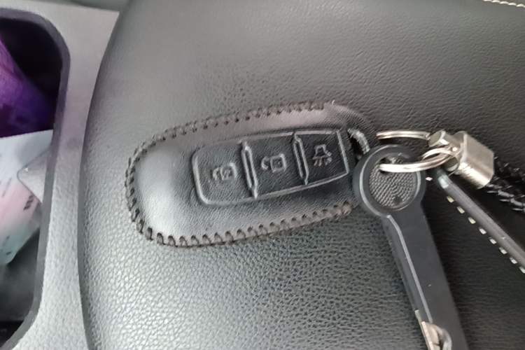 Used Venucia D60 2023 PLUS 1.6L XL CVT Yue Ling Edition Vehicle Key