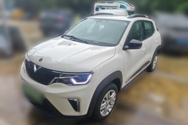 Used Venucia e30 2020 Elite Version