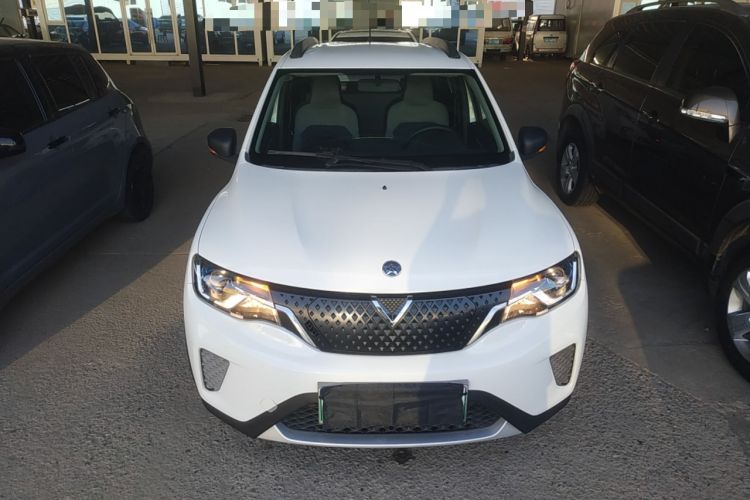 Used Venucia e30 2020 Elite Edition Front