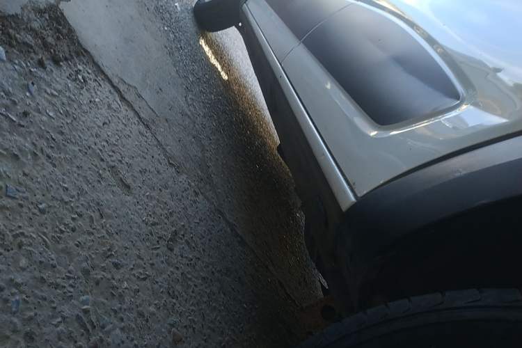 Used Venucia e30 2020 Elite Edition Left Side Sill