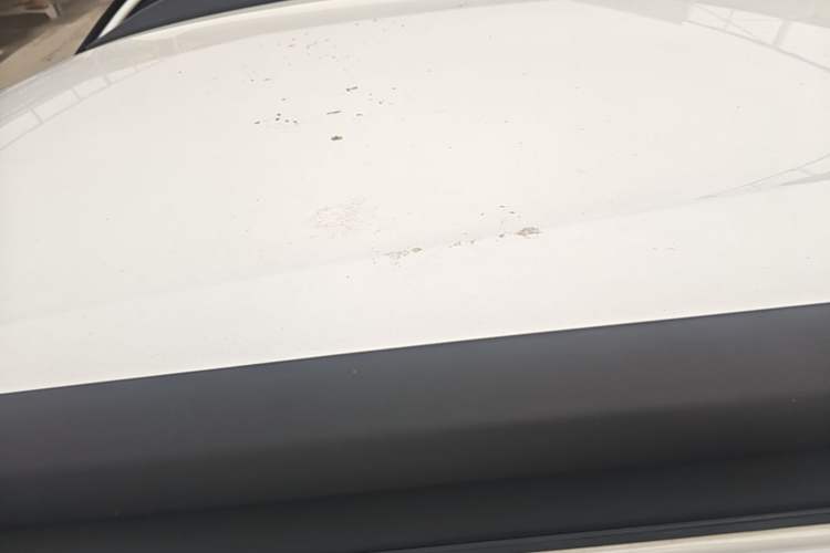 Used Venucia e30 2020 Elite Edition Roof