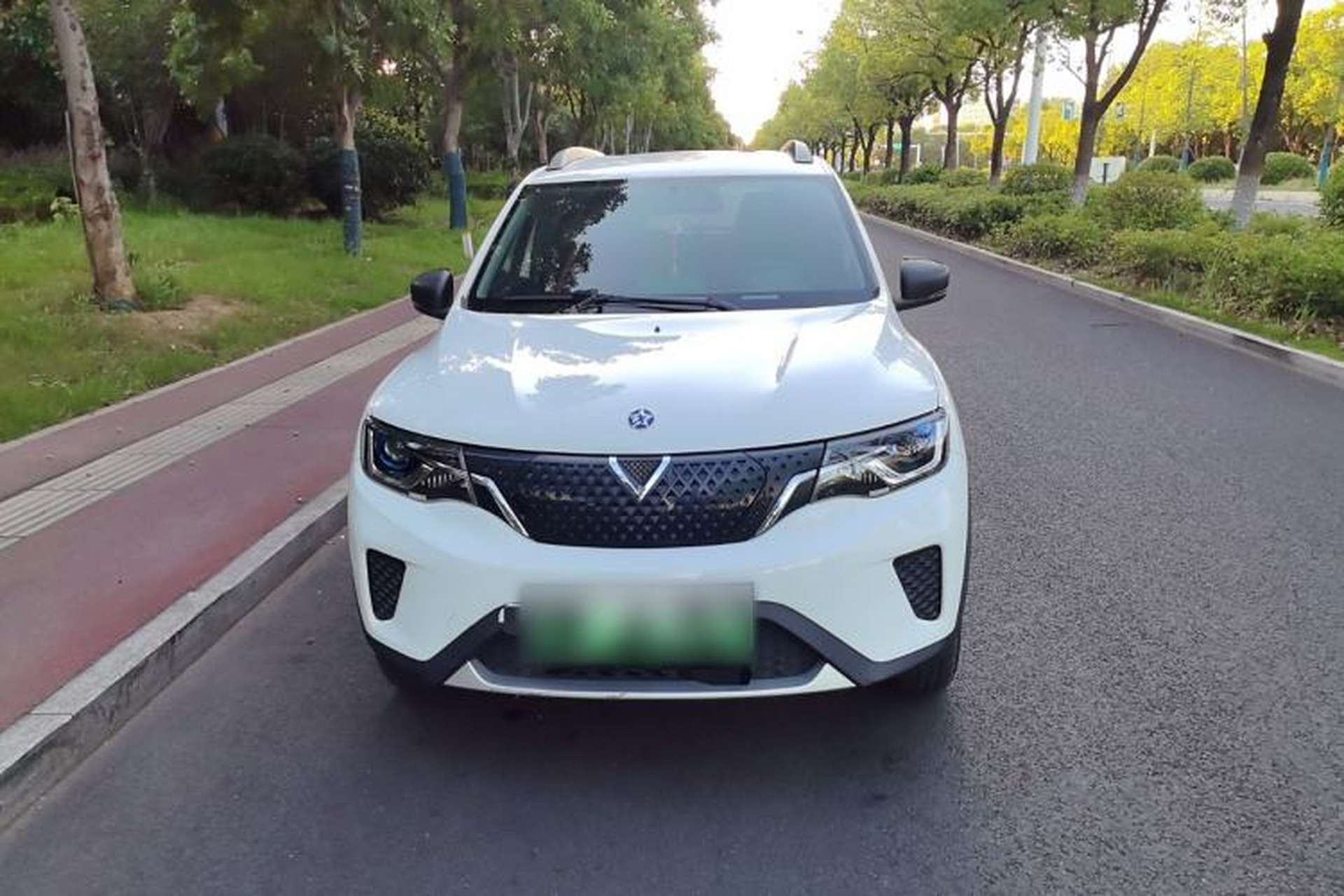 Used Venucia e30 2021 Elite Edition Exterior 1