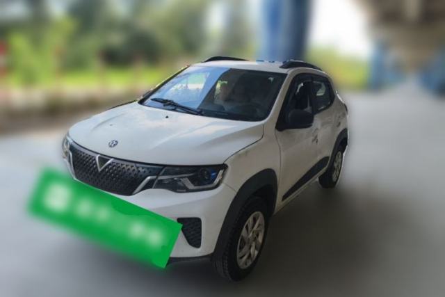 Used Venucia e30 2021 Revised Elite Edition