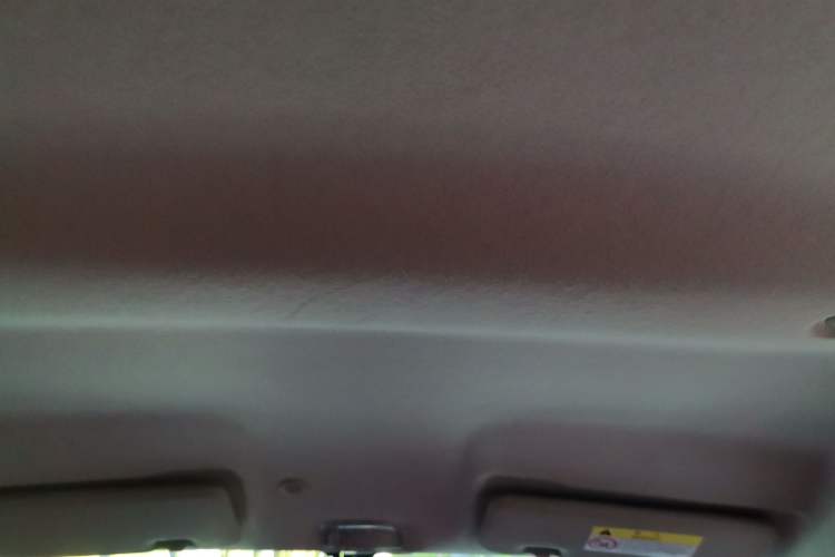 Used Venucia e30 2021 Elite Edition Interior 8