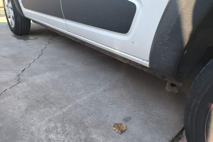 Used Venucia e30 2021 Elite Edition Left Side Sill