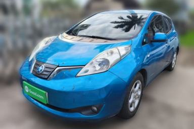 Used Venucia Leaf 2014 Lingfeng Edition 6.6 KW