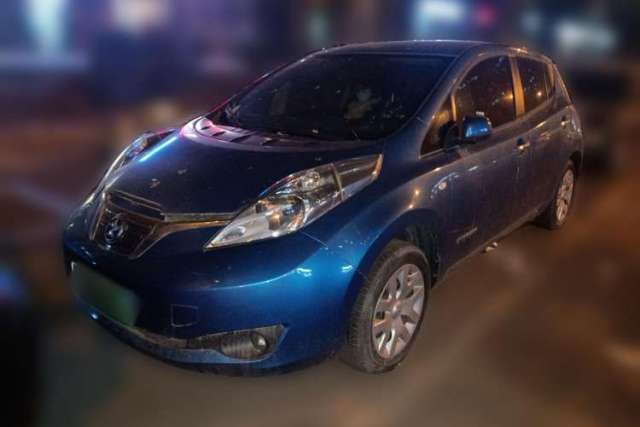 Used Venucia Leaf 2014 Lingfeng Edition 6.6 KW
