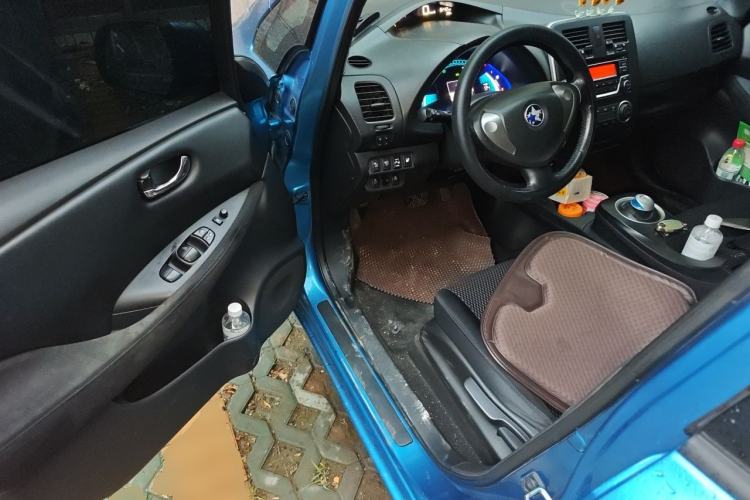 Used Venucia Leaf 2014 Lingfeng Edition 3.6KW Driver Seat
