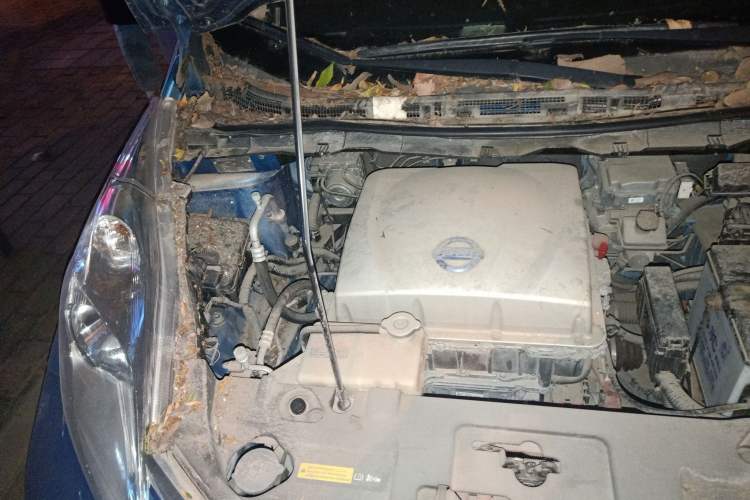 Used Venucia Leaf 2014 Lingfeng Edition 6.6 KW Engine Bay Right