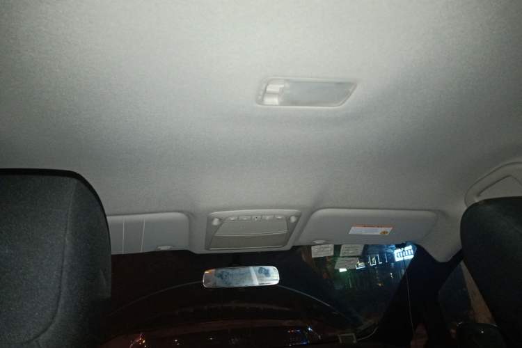Used Venucia Leaf 2014 Lingfeng Edition 6.6 KW Headliner