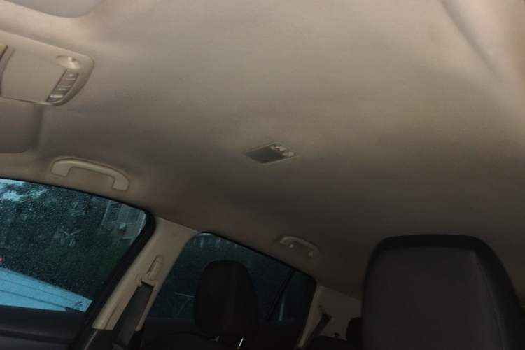Used Venucia Leaf 2014 Lingfeng Edition 3.6KW Headliner