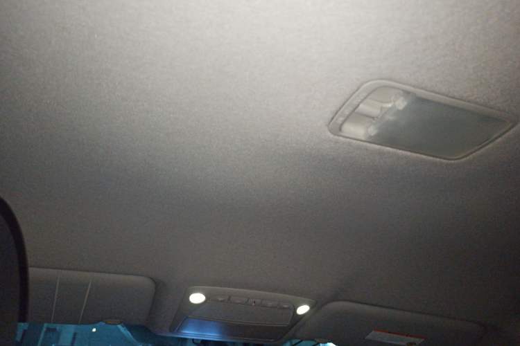 Used Venucia Leaf 2014 Lingfeng Edition 6.6 KW Headliner