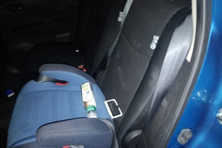 Used Venucia Leaf 2014 Lingfeng Edition 6.6 KW Left Rear Seat