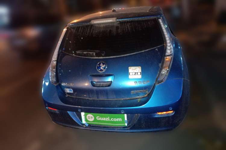 Used Venucia Leaf 2014 Lingfeng Edition 6.6 KW Rear