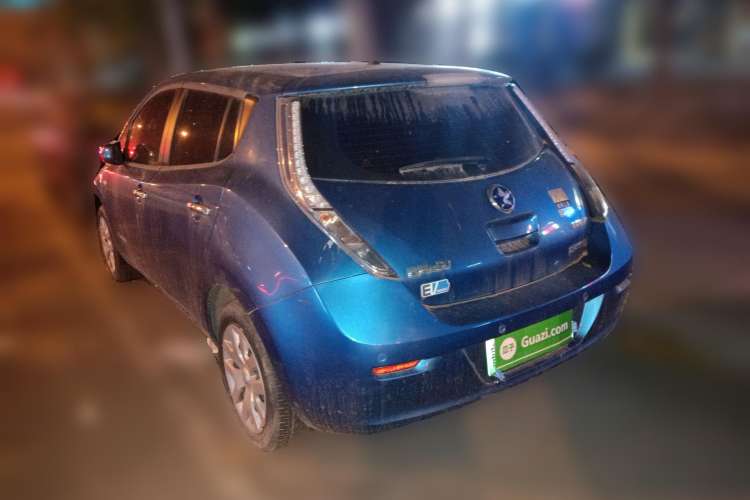 Used Venucia Leaf 2014 Lingfeng Edition 6.6 KW Rear Left 45 Deg