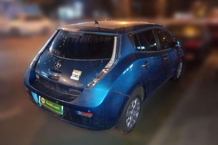 Used Venucia Leaf 2014 Lingfeng Edition 6.6 KW Rear Right 45 Deg