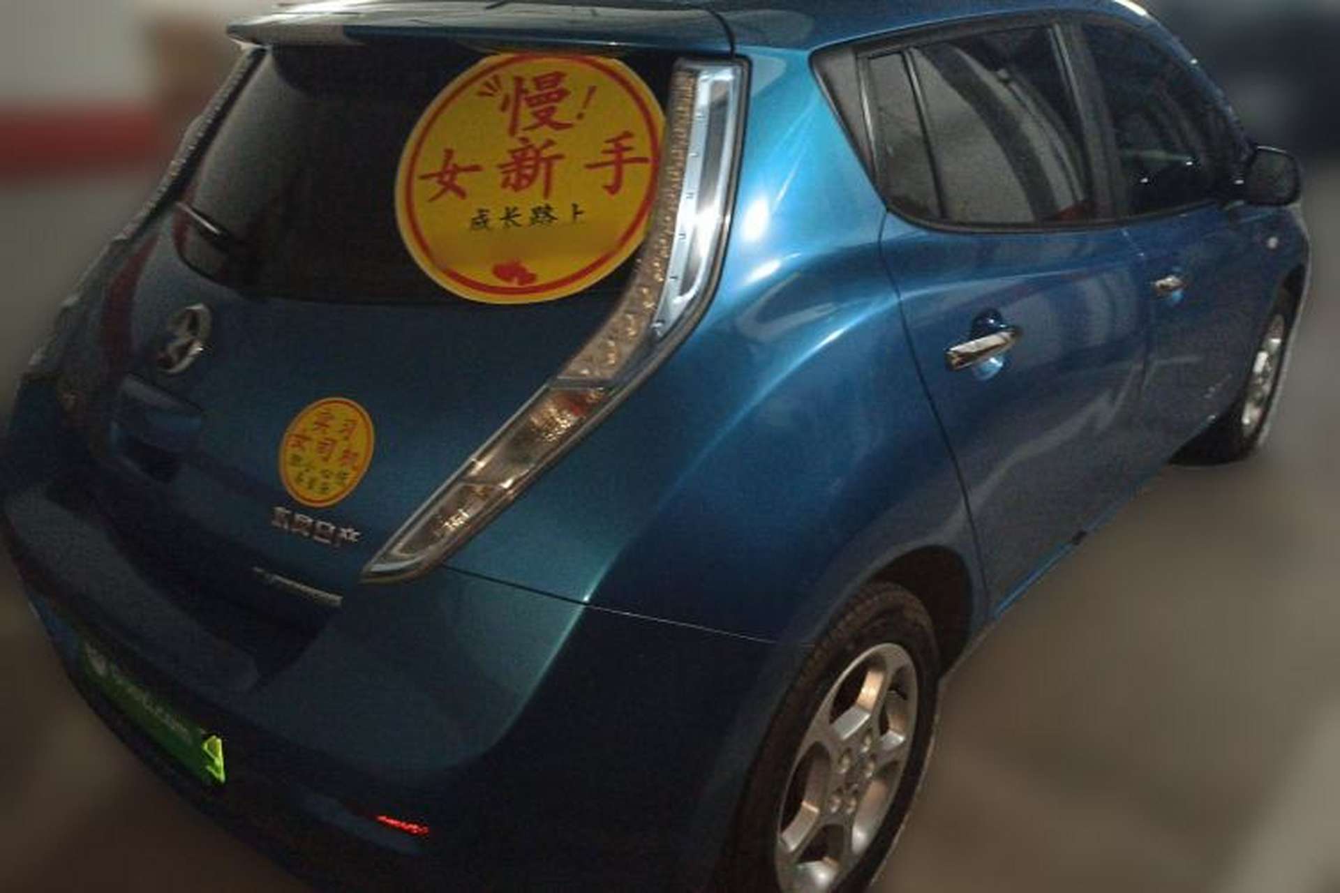 Used Venucia Leaf 2014 Lingfeng Edition 6.6 KW Rear Right 45 Deg