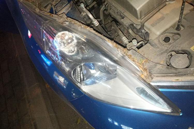 Used Venucia Leaf 2014 Lingfeng Edition 6.6 KW Right Front Headlight