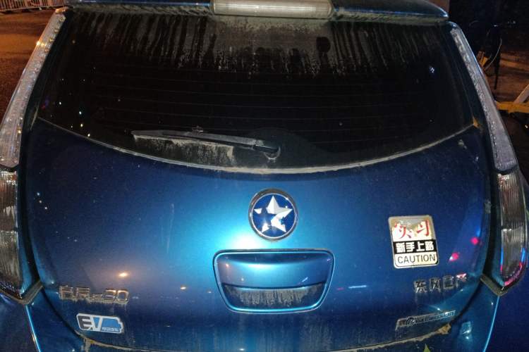 Used Venucia Leaf 2014 Lingfeng Edition 6.6 KW Trunk