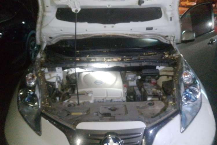 Used Venucia Leaf 2014 Navigation Version 6.6 KW Engine Bay