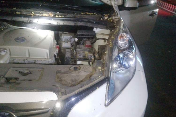 Used Venucia Leaf 2014 Navigation Version 6.6 KW Engine Bay Left