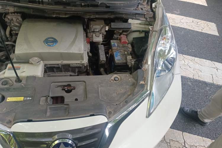 Used Venucia Leaf 2014 Lingfeng Edition 6.6 KW Engine Bay Left