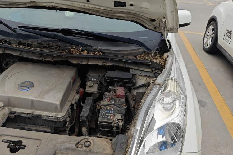 Used Venucia Leaf 2014 Navigation Version 6.6 KW Engine Bay Left