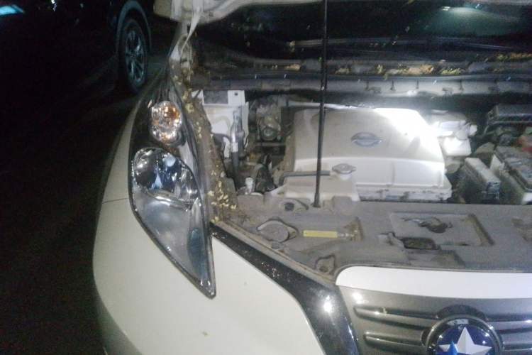 Used Venucia Leaf 2014 Navigation Version 6.6 KW Engine Bay Right