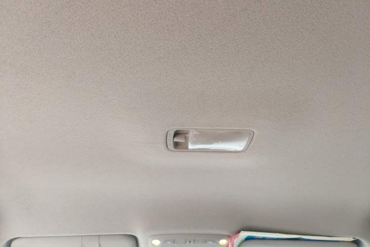 Used Venucia Leaf 2014 Lingfeng Edition 6.6 KW Headliner