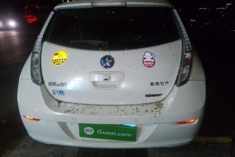 Used Venucia Leaf 2014 Navigation Version 6.6 KW Rear