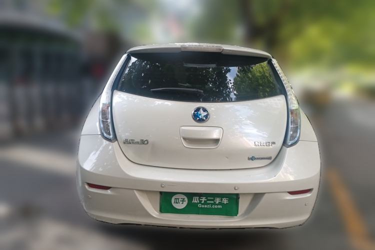 Used Venucia Leaf 2014 Lingfeng Edition 6.6 KW Rear