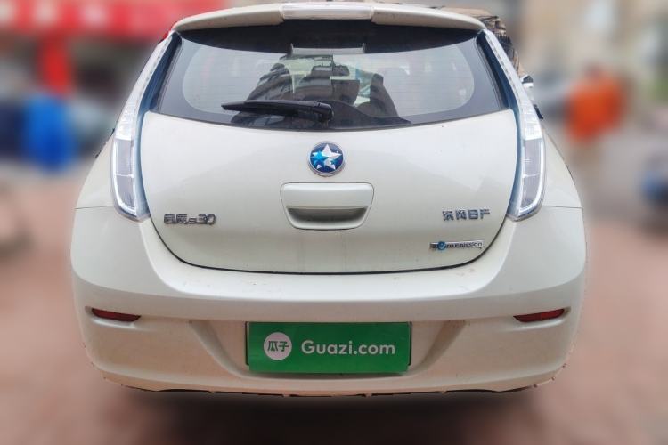 Used Venucia Leaf 2014 Lingfeng Edition 6.6 KW Rear