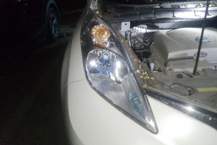 Used Venucia Leaf 2014 Navigation Version 6.6 KW Right Front Headlight