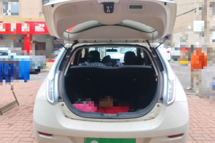 Used Venucia Leaf 2014 Lingfeng Edition 6.6 KW Trunk