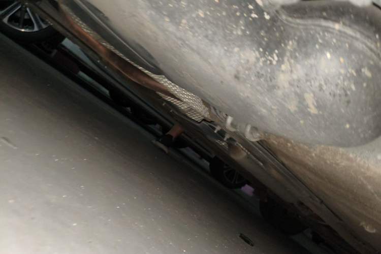 Used Venucia M50V 2019 1.6L CVT Luxury Edition Chassis Rear Right