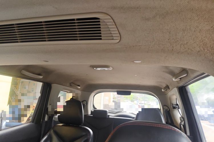 Used Venucia M50V 2019 1.6L CVT Ultimate Edition Headliner