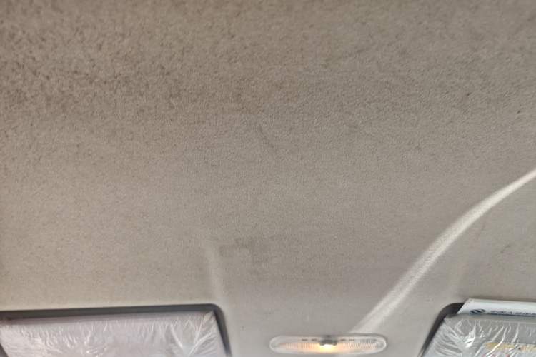 Used Venucia R30 2014 1.2L Manual Enjoyment Edition Headliner