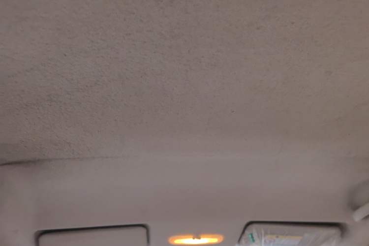 Used Venucia R30 2014 1.2L Manual Enjoyment Edition Headliner