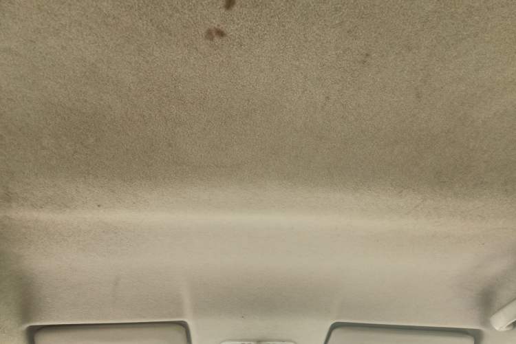 Used Venucia R30 2014 1.2L Manual Enjoyment Edition Headliner
