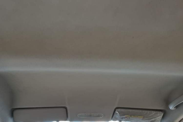 Used Venucia R30 2014 1.2L Manual Enjoyment Edition Headliner