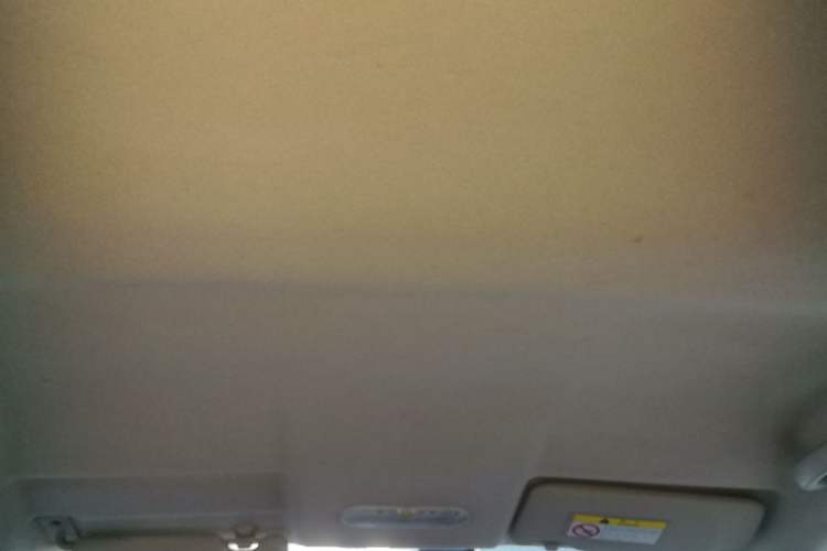 Used Venucia R30 2014 1.2L Manual Luxury Edition Headliner