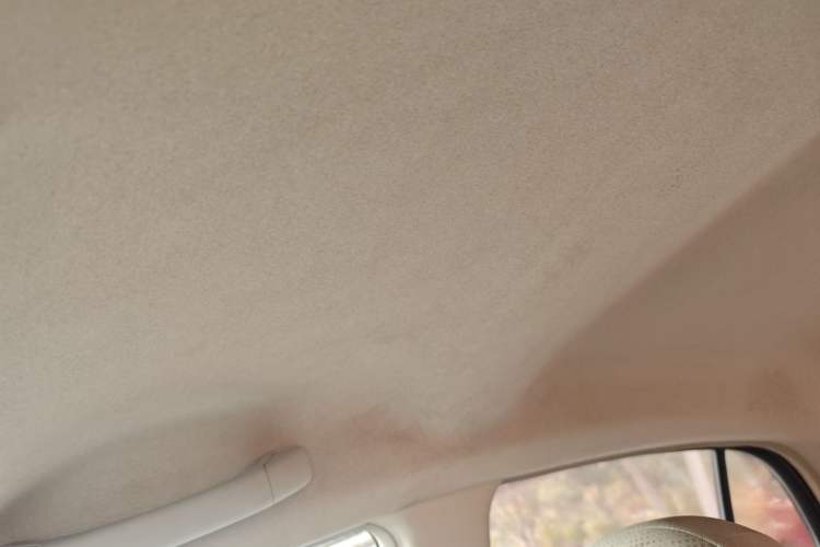 Used Venucia R30 2014 1.2L Manual Enjoyment Edition Headliner