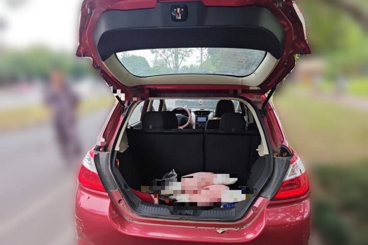 Used Venucia R50 2012 1.6L Automatic Comfort Edition Trunk