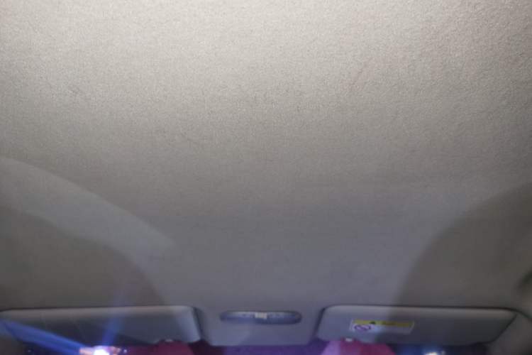 Used Venucia R50 2012 1.6L Automatic Comfort Edition Headliner