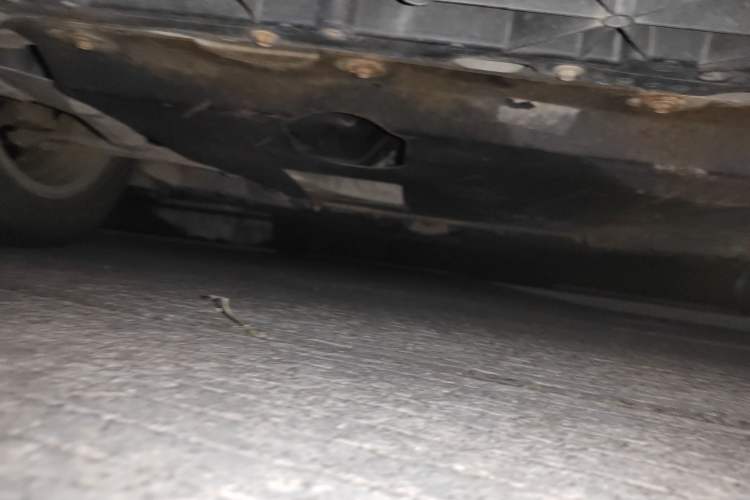 Used Venucia R50 2013 1.6L Manual Fashion Edition Chassis Front